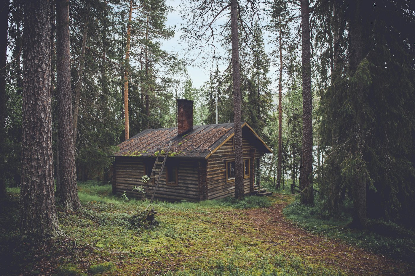 The Laurel Crest Cabin — cabin style inspiration for London, Kentucky